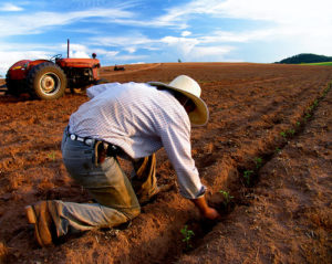 Sowing-Seeds-for-the-Future-medium1